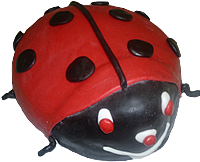 torta v tvare lienky